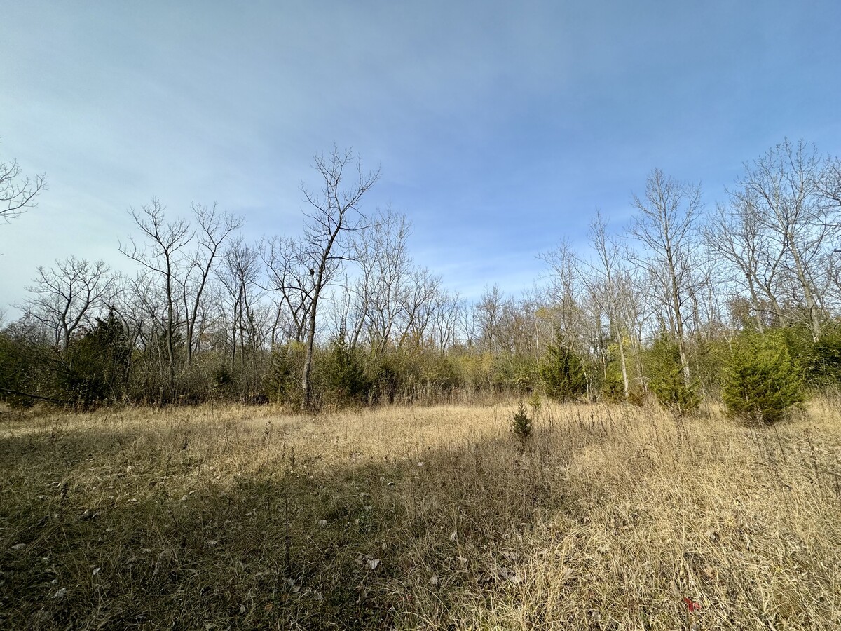 View Photo
