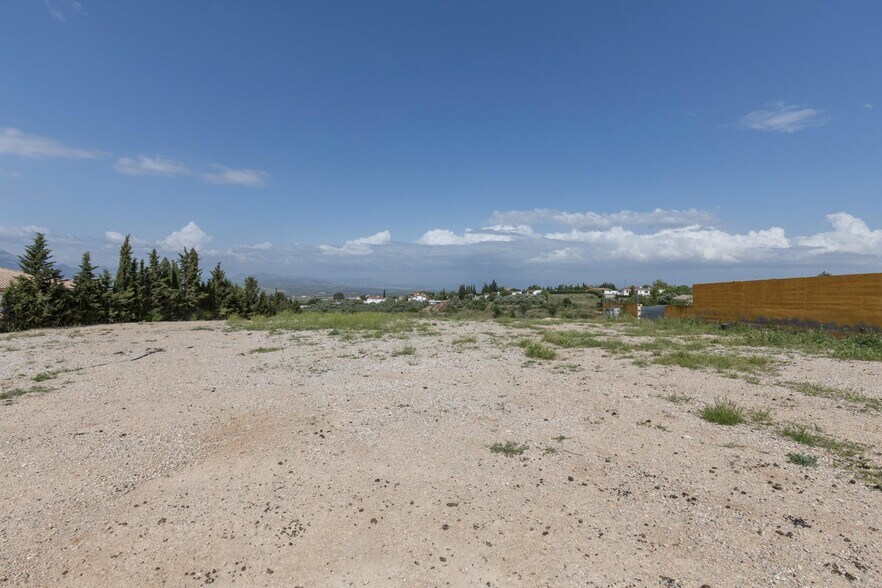 Terrain dans Moraleda de Zafayona, Granada à vendre - Photo de l’immeuble – Image 3 sur 27