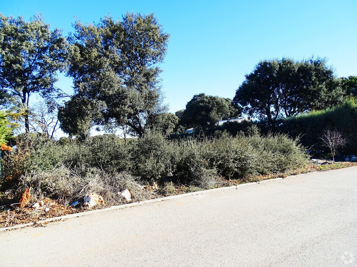 View Photo