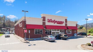 Plus de détails pour 219 Rodney Orr Byp, Robbinsville, NC - Local commercial à vendre