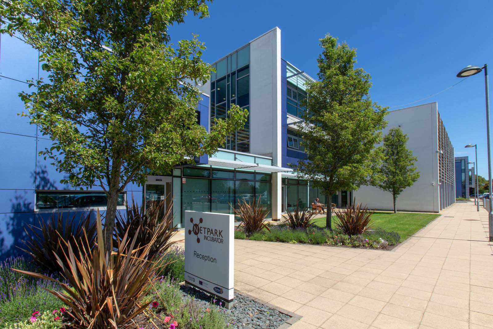 Thomas Wright Way, Sedgefield à louer Photo principale– Image 1 sur 6