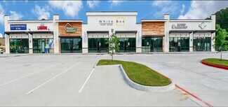 Plus de détails pour 4420 Spring Cypress Rd, Spring, TX - Local commercial à vendre