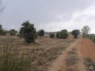 Photo principale
