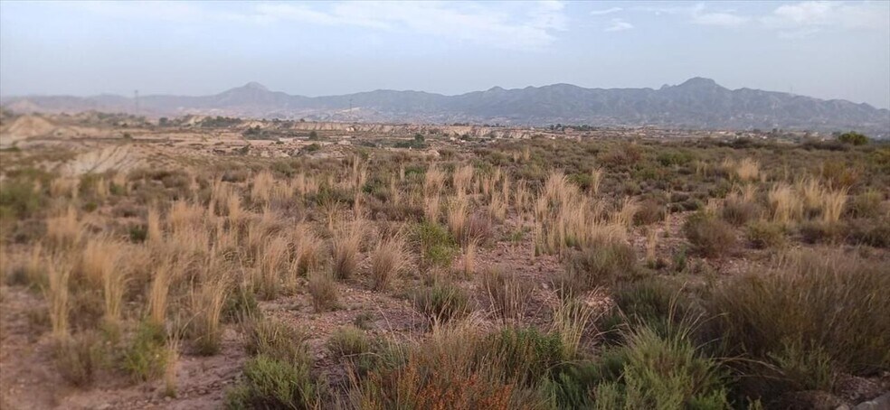 Abanilla, S/N, Abanilla, Murcia à vendre - Plan de site – Image 3 sur 10