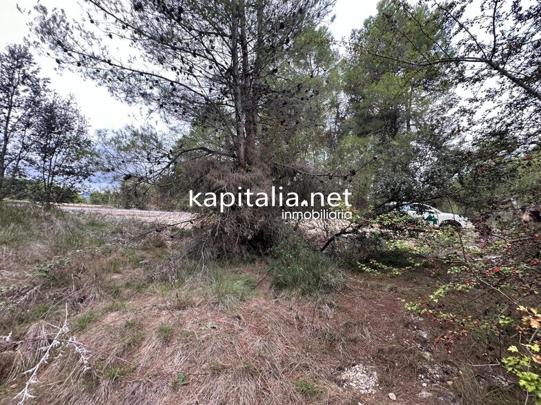 Terrain dans Alfafara, Alicante à vendre - Photo principale – Image 2 sur 5