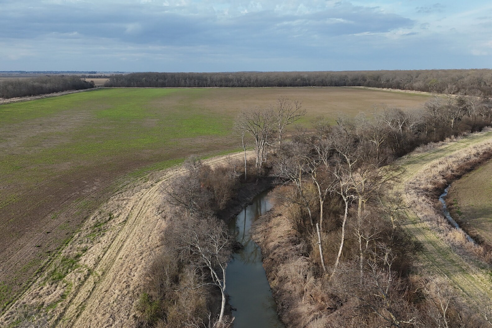Nipps Wilkerson 280, Humnoke, AR à vendre Autre– Image 1 sur 11