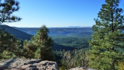 2811 White Cliff Dr, Heber, AZ à vendre - Autre – Image 3 sur 4