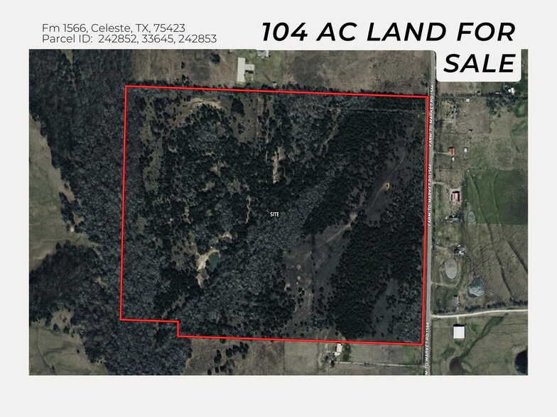 1396 Farm to Market Road 1566, Celeste, TX à vendre - Photo principale – Image 1 sur 5