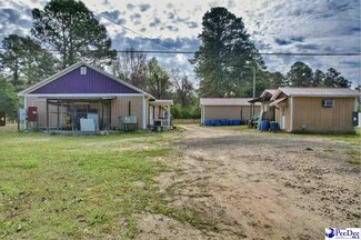 Plus de détails pour 2175 S US-41, Lake View, SC - Local commercial à vendre