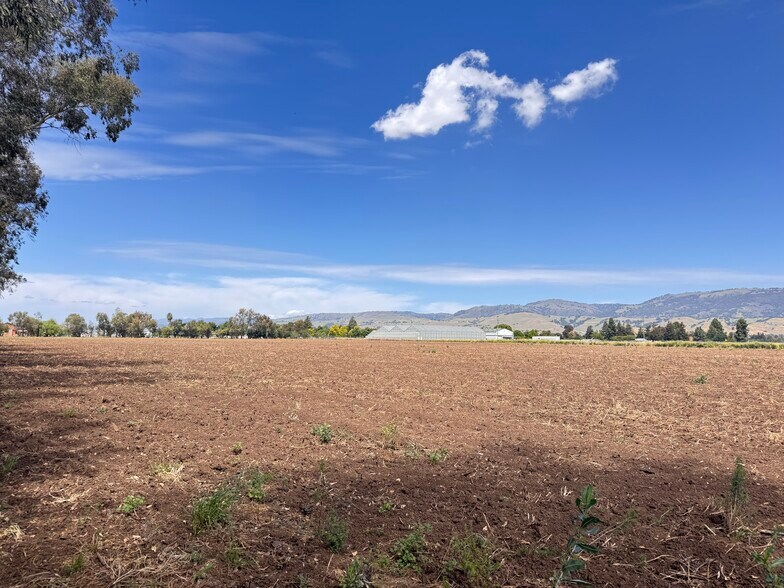 310 Lena ave, Gilroy, CA à louer - Photo de l’immeuble – Image 3 sur 23