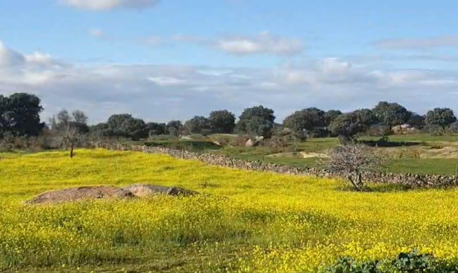 Terrain dans Cáceres, Cáceres à vendre Aérien– Image 1 sur 2