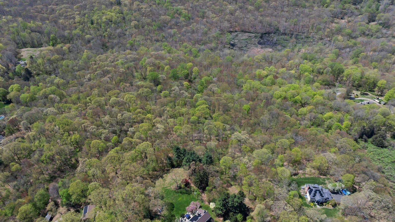 View Photo
