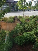 2400 Dollarton Hwy, North Vancouver, BC à louer Autre– Image 2 sur 15