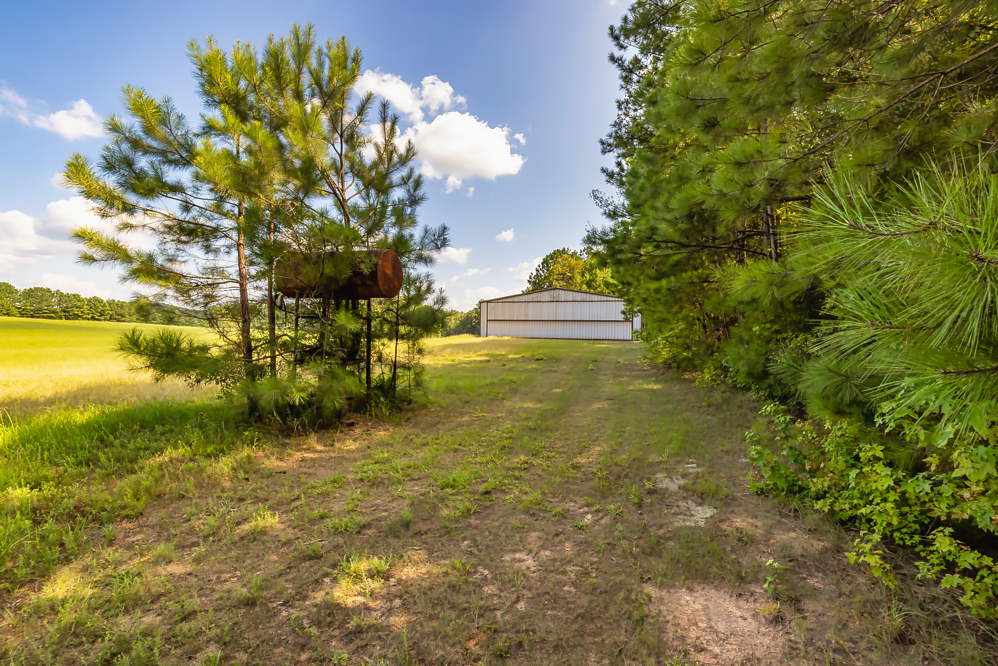 2660 Mount Carmel Rd, Newnan, GA à vendre Photo principale– Image 1 sur 64