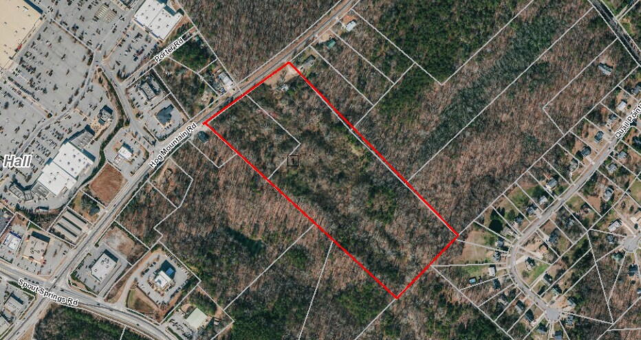 4651 Hog Mountain Rd, Flowery Branch, GA à vendre - Photo principale – Image 1 sur 2