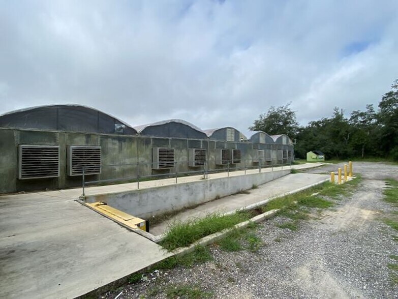 17936 W Phil C Peters Rd, Winter Garden, FL à vendre - Photo de l’immeuble – Image 3 sur 21