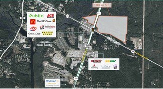 Plus de détails pour US Highway 331 Hwy, Freeport, FL - Terrain à vendre