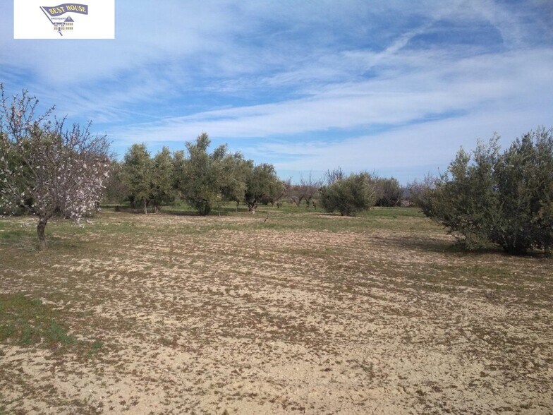Terrain dans Agullent, Valencia à vendre - Photo principale – Image 3 sur 6