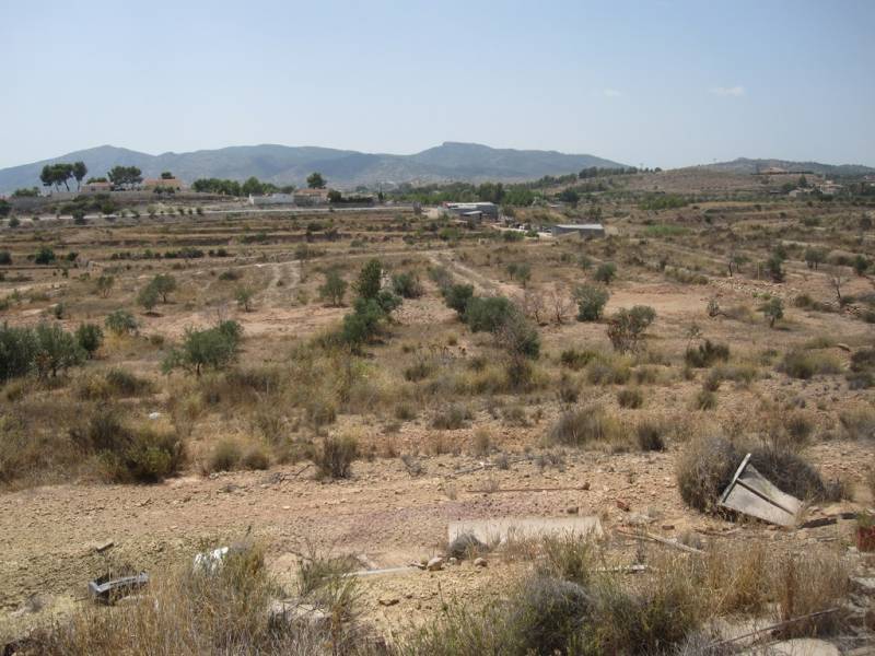 Terrain dans Elda, Alicante à vendre Photo de l’immeuble– Image 1 sur 3