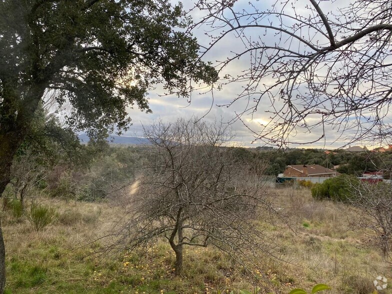 Terrain dans Ituero y Lama, Segovia à vendre - Photo principale – Image 1 sur 5