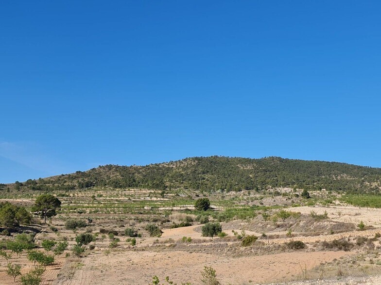 Terrain dans Yecla, Murcia à vendre - Photo principale – Image 2 sur 28