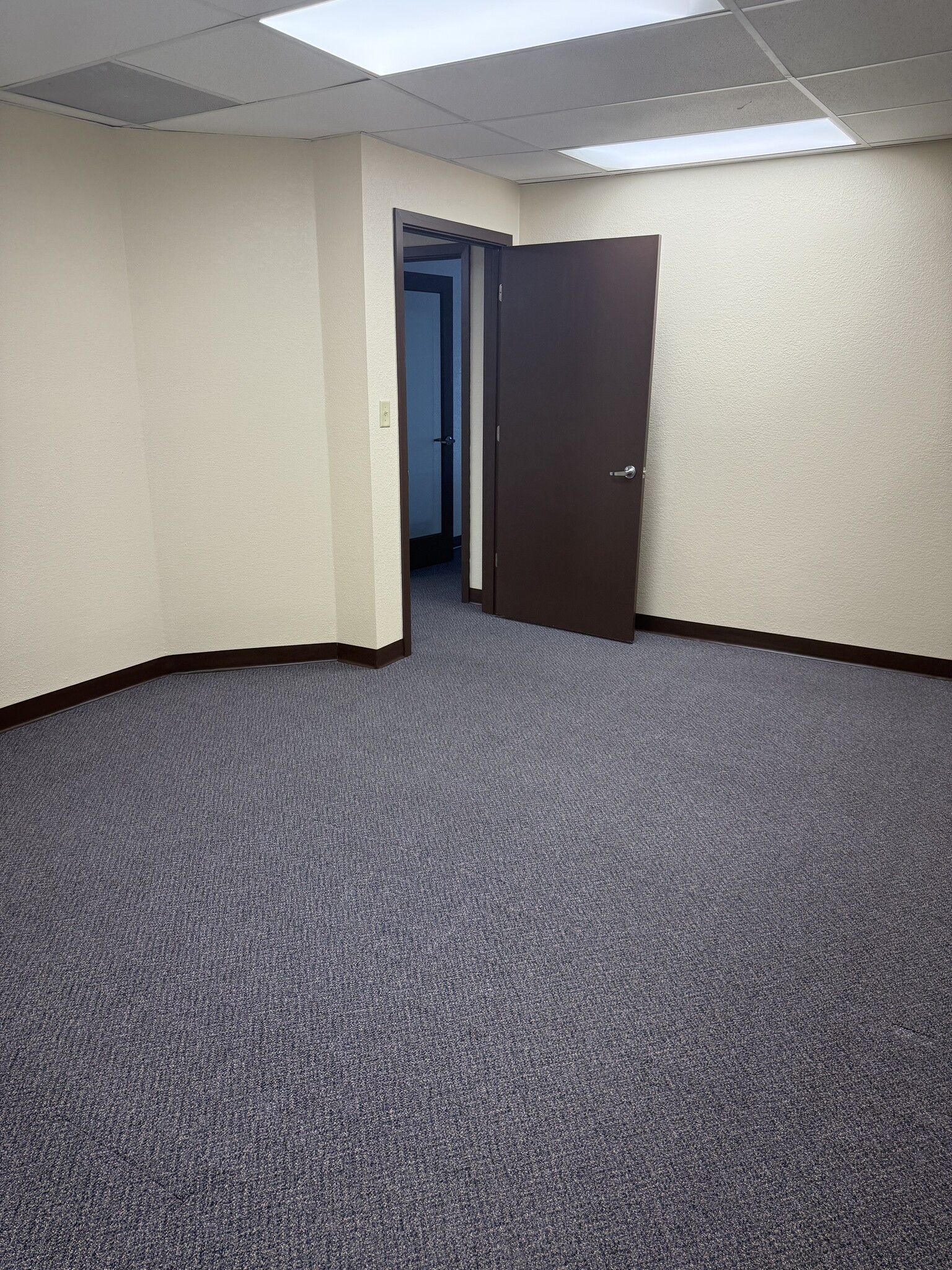 Bureaux/Médical dans Palm Harbor, FL à louer Photo intérieure– Image 1 sur 22