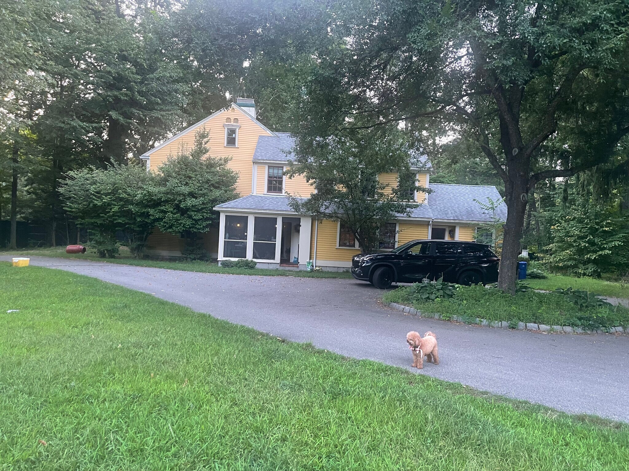 1144 Brush Hill Rd, Milton, MA à vendre Photo principale– Image 1 sur 4