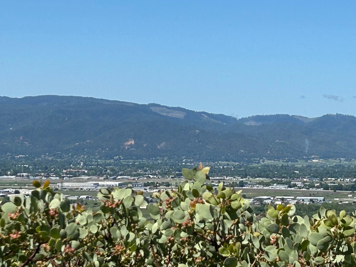 View Photo