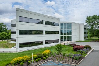 Plus de détails pour 199 Grandview Rd, Skillman, NJ - Bureau à louer