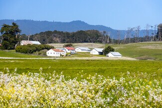 Plus de détails pour 21601 S Highway 1, Point Arena, CA - Terrain à vendre