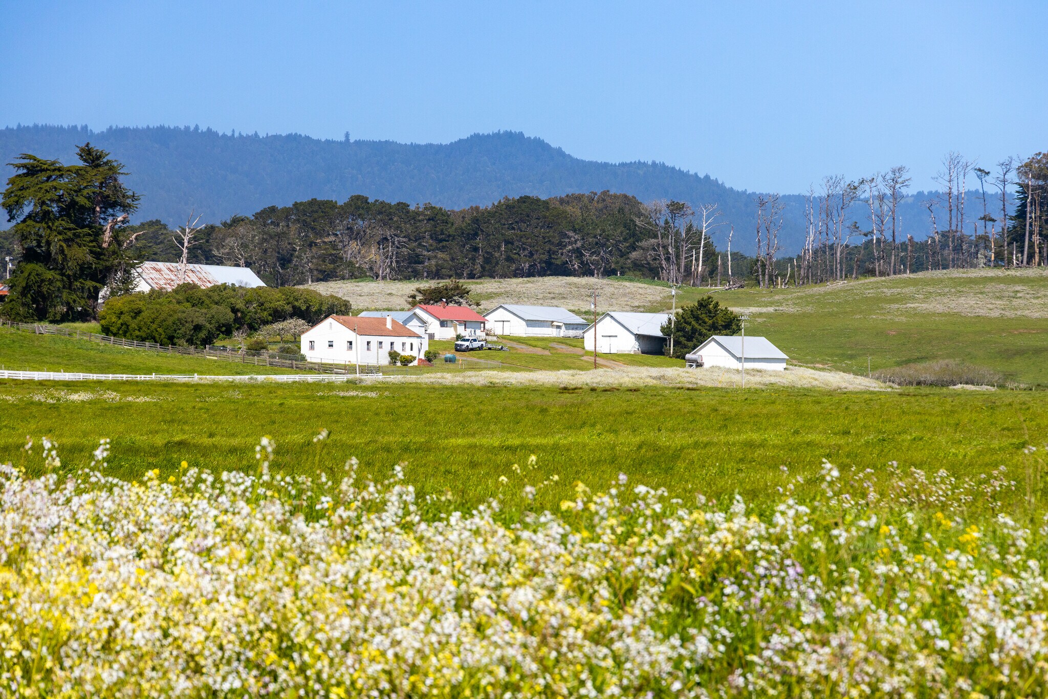 21601 S Highway 1, Point Arena, CA à vendre Photo principale– Image 1 sur 75