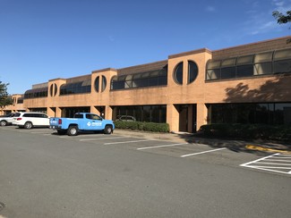 Plus de détails pour 14303 Sullyfield Cir, Chantilly, VA - Bureau, Local d'activités à louer