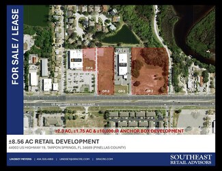 Plus de détails pour 44003 N US Hwy 19, Tarpon Springs, FL - Terrain à vendre