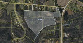 Plus de détails pour Teamon Land Portfolio – Terrain à vendre, Griffin, GA