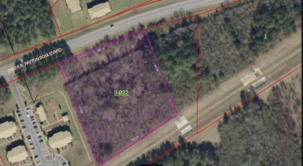 James Payton Blvd, Sylacauga, AL à vendre - Aérien – Image 2 sur 4