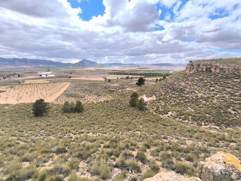 Terrain dans MURCIA à vendre - Photo principale – Image 2 sur 8