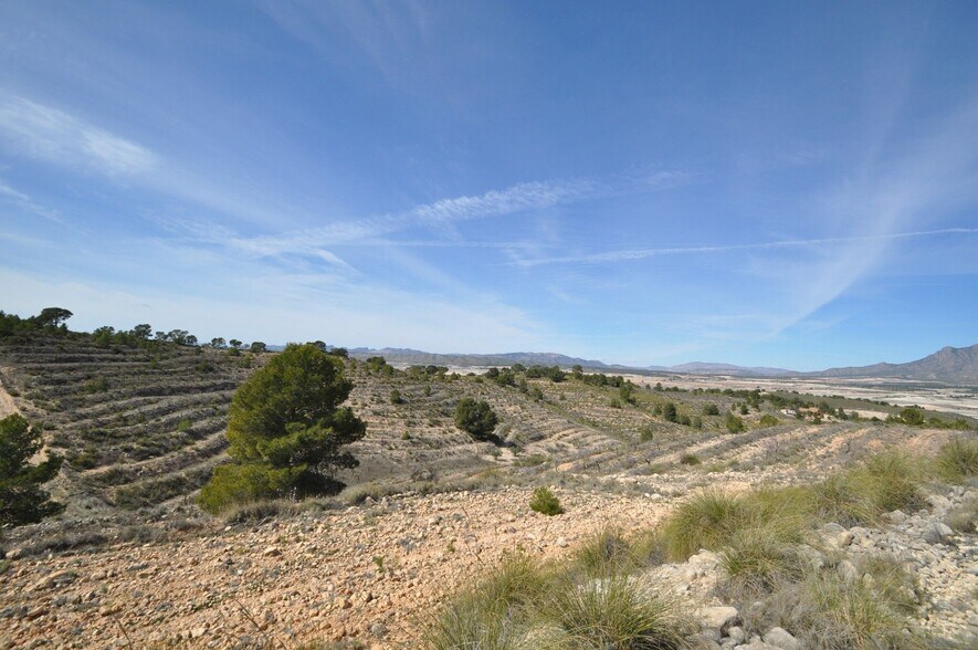 Terrain dans Jumilla, Murcia à vendre - Aérien – Image 3 sur 16