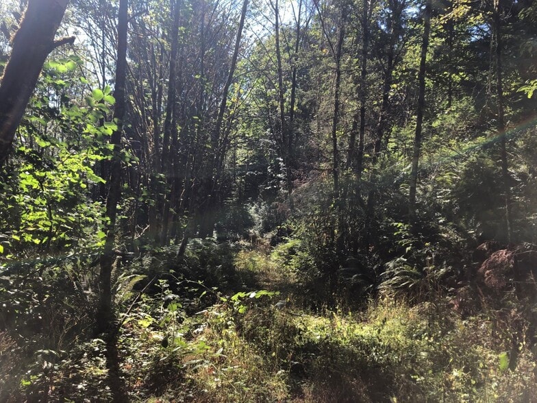 XXX Phillips, Port Orchard, WA à vendre - Autre – Image 3 sur 3