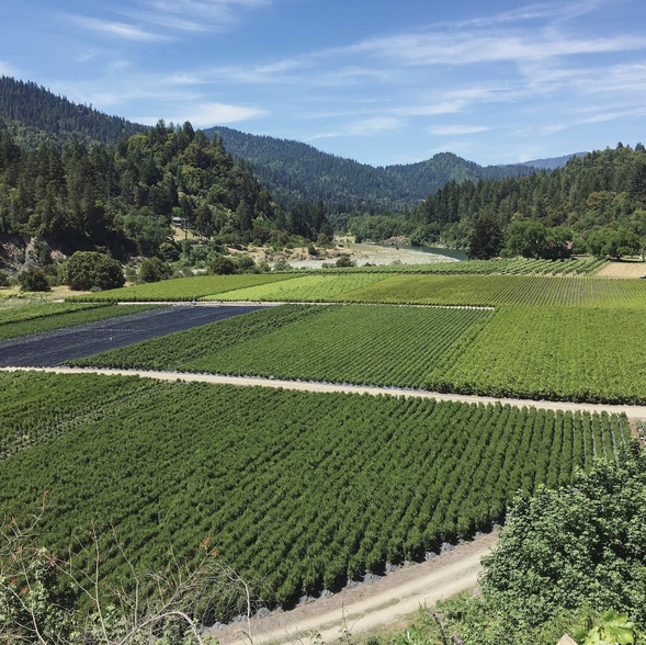 2172 Patterson rd, Willow Creek, CA à vendre - Photo de l’immeuble – Image 2 sur 3
