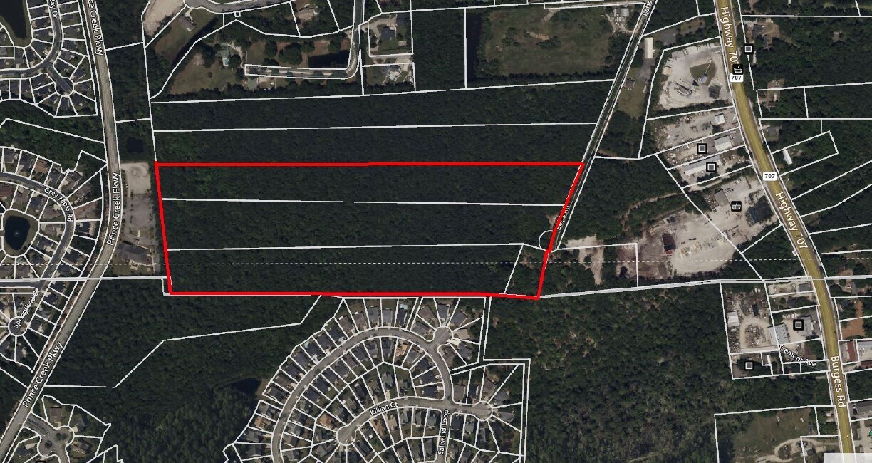 32 Acres Betts Road, Murrells Inlet, SC à vendre Photo principale– Image 1 sur 3
