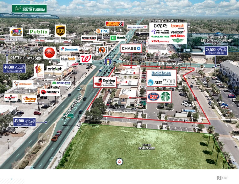 8942 Bertha Palmer Blvd, Temple Terrace, FL à vendre - Photo de l’immeuble – Image 3 sur 10