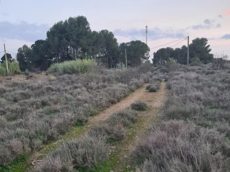 Carrer B Cerdera Alta, Lleida, Lérida à vendre Photo principale– Image 1 sur 11