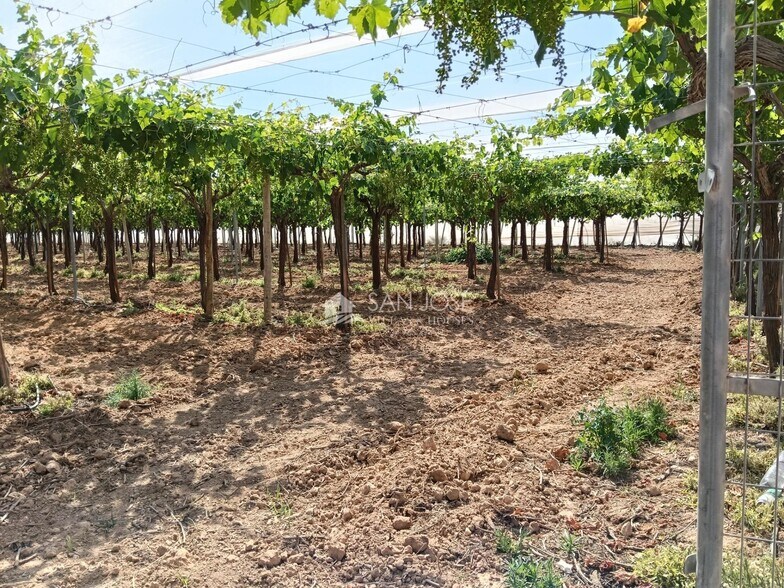 Terrain dans La Romana, Alicante à vendre - Photo de l’immeuble – Image 3 sur 6