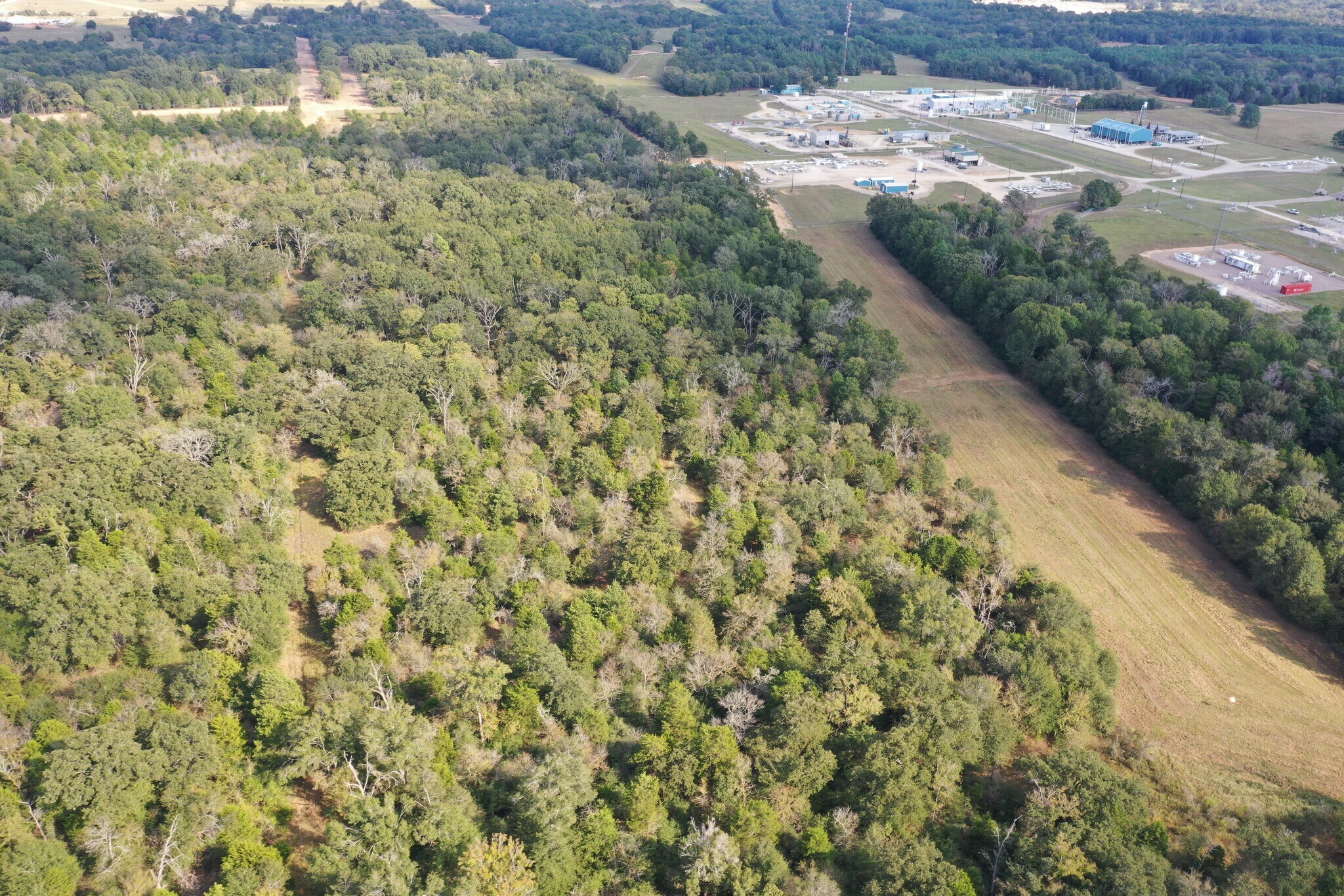 Country Rd 2608, Tennessee Colony, TX à vendre Photo principale– Image 1 sur 7