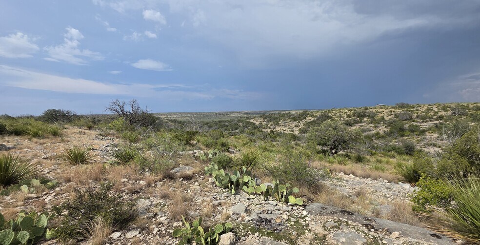 0000 Cactus Rose Ln, Ozona, TX à vendre - Photo de l’immeuble – Image 3 sur 38