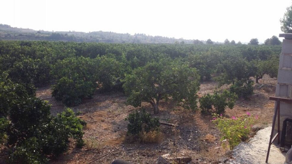 Terrain dans Montroy, Valencia à vendre - Photo de l’immeuble – Image 2 sur 14