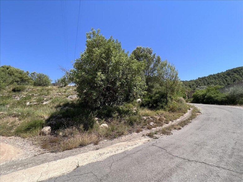 Proc. Simplificado, Borriol, Castellón à vendre - Photo principale – Image 3 sur 12