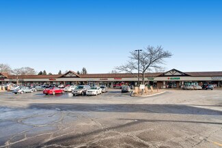 Plus de détails pour 1010-1072 E Schaumburg Rd, Streamwood, IL - Local commercial à louer