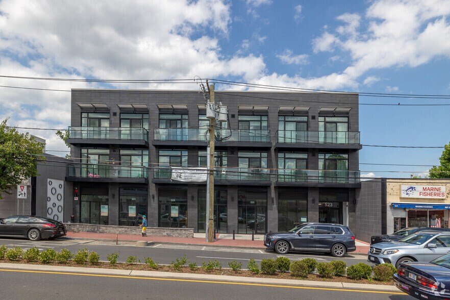 523-531 Middle Neck Rd, Great Neck, NY à vendre - Photo de l’immeuble – Image 3 sur 24