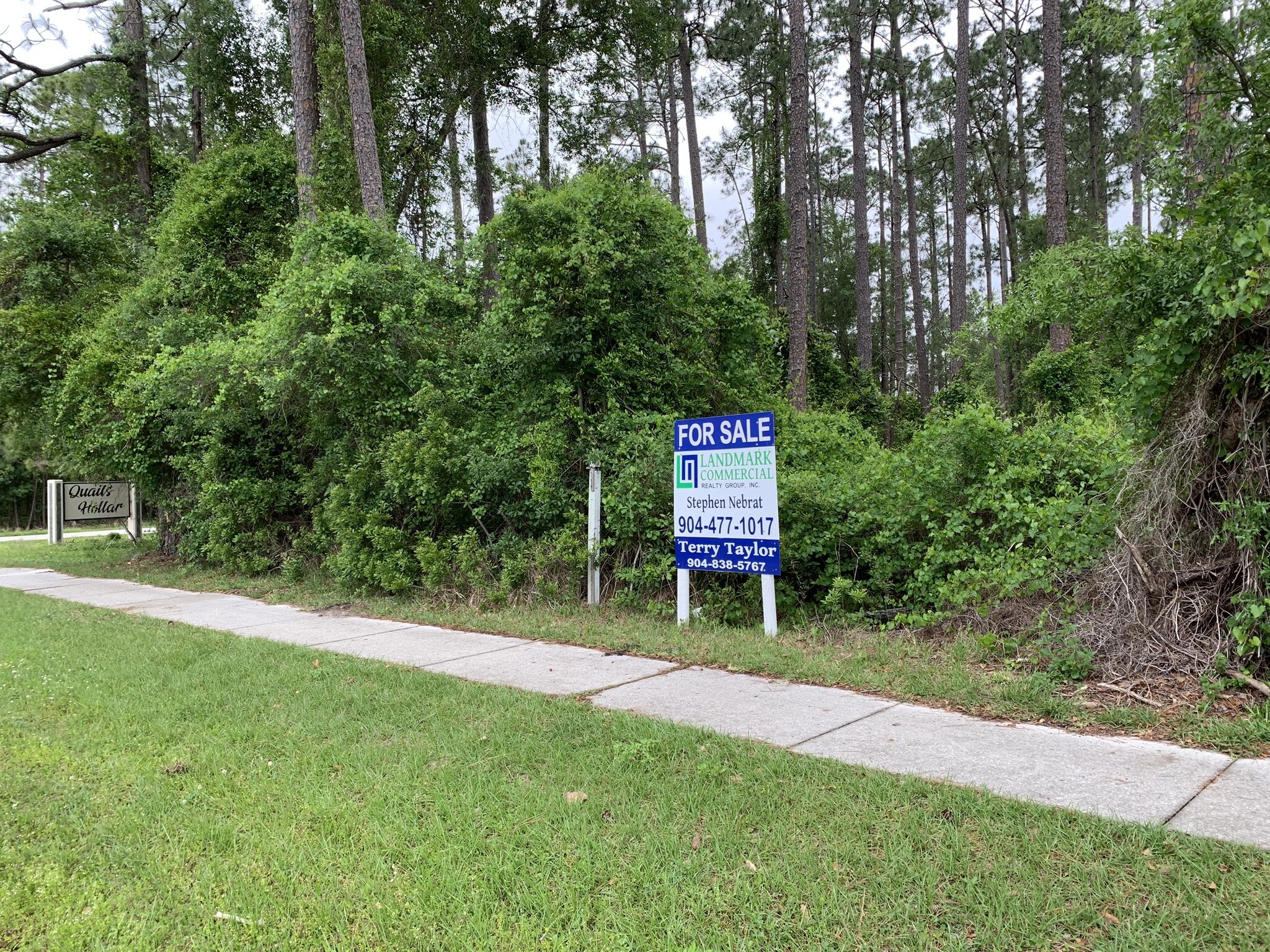 CR 220 & Hollars Pl, Middleburg, FL à vendre Photo de l’immeuble– Image 1 sur 3